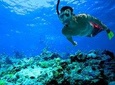 Snorkeling Paddleboarding or Kayaking Guided Experience