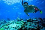 Snorkeling Paddleboarding or Kayaking Guided Experience