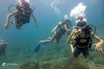 Fundive Catalina Islands (2 dives only for certified divers)