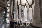Robben Island Ticket & Cape Town Essential Museum tour including Zeitz MOCAA