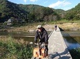 Anabuki River Brompton Bicycle Pottering Tour