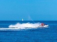 Jet Ski Safari Tour 3h