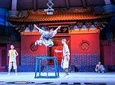 Private Independent Tour to Shaolin Temple from Luoyang
