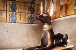 Tutankhamun's Discovery of the Tomb with Virtual Reality