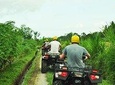 Bali ATV Ride - Quad Biking Adventure