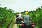 Bali ATV Ride - Quad Biking Adventure