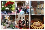 Winery Visit and Tasting of 2 D.O.C.Wines Fontechiara