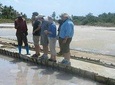 Visit Salt Mining & Milk Processing Factory - From Tanga City (Half Day)