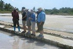 Visit Salt Mining & Milk Processing Factory - From Tanga City (Half Day)