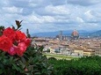 Florence Private Day Tour from Rome