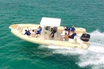 Private Speedboat Tour For 7 Persons