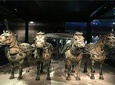 Half Day Boutique experience of Terra-Cotta Army with Meal option