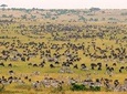 2-Day Masai Mara Overnight Safari