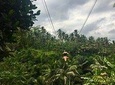 Mount Batur Trekking & Ubud Jungle Swing Tour