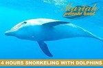 PRIVATE! 4-Hour speed boat tour: Swim with dolphins, snorkeling, island & wreck 