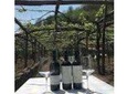 Wine Tasting Basileo Winery with Lunch