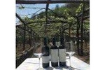 Wine Tasting Basileo Winery with Lunch