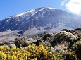 Climb Mountain Kilimanjaro. 5 Day Marangu Route