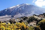 Climb Mountain Kilimanjaro. 5 Day Marangu Route