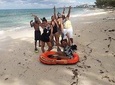 Rums and Reggae Tour (Shore Excursion)