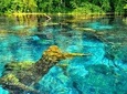 Explore Blue Eye- The Monument of Nature