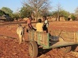 Village Tour in Livingstone