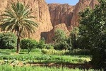 Day trip to the three valleys from Marrakech