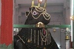 Sacred Bull Walk in Bangalore with guide and refreshments