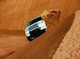 Morning Desert Safari With Quad Bike camel Ride Sand Boarding 