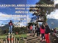 Casa Del Arbol – Columpio Del Fin Del Mundo 