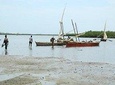Tongoni Historical Ruins-From Tanga City (Oldest Fishing Village)