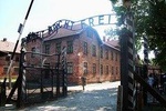 Auschwitz Tours Memorial and Museum Guided Tour from Krakow