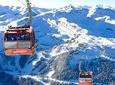 Guided Sightseeing Tour in Vancouver, Shannon Falls and Whistler