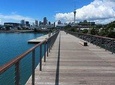 Discover Auckland City Sightseeing Tour ( Half Day )