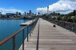 Discover Auckland City Sightseeing Tour ( Half Day )