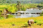 Glamping Mai Chau - Pu Luong - Ninh Binh 4 days 3 nights