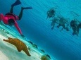 Cozumel Snorkel tour to El Cielo Beach
