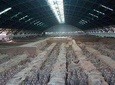 Private Xi'an Day Tour Of Terra-Cotta Warriors, City Wall And Muslim street