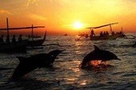 Amazing Private Tours: Dolphins Lovina and Gitgit Waterfall with Lunch