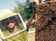 Experience Our Honey Farm And Beekeeping Tour