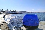 Olive Oil Tasting in Mykonos