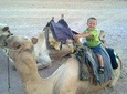 5-hour safari with quad biking & dinner at the Bedouin Hurghada