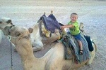 5-hour safari with quad biking & dinner at the Bedouin Hurghada