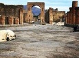 Private Guided Tour. Experience the Everyday Life of the Eternal town of Pompeii