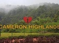 Cameron Highlands Amazing Day Trip Tour with Local Lunch