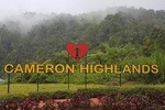 Cameron Highlands Amazing Day Trip Tour with Local Lunch