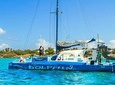 Catamaran Dolphin Snorkeling Cruise in Aruba with light Lunch