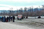 LiBEARty - the Brown Bear Sanctuary from Zarnesti