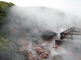 Private Saga & Nature day tour