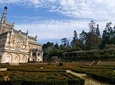 An adventure through the Bussaco National Forest - Coimbra